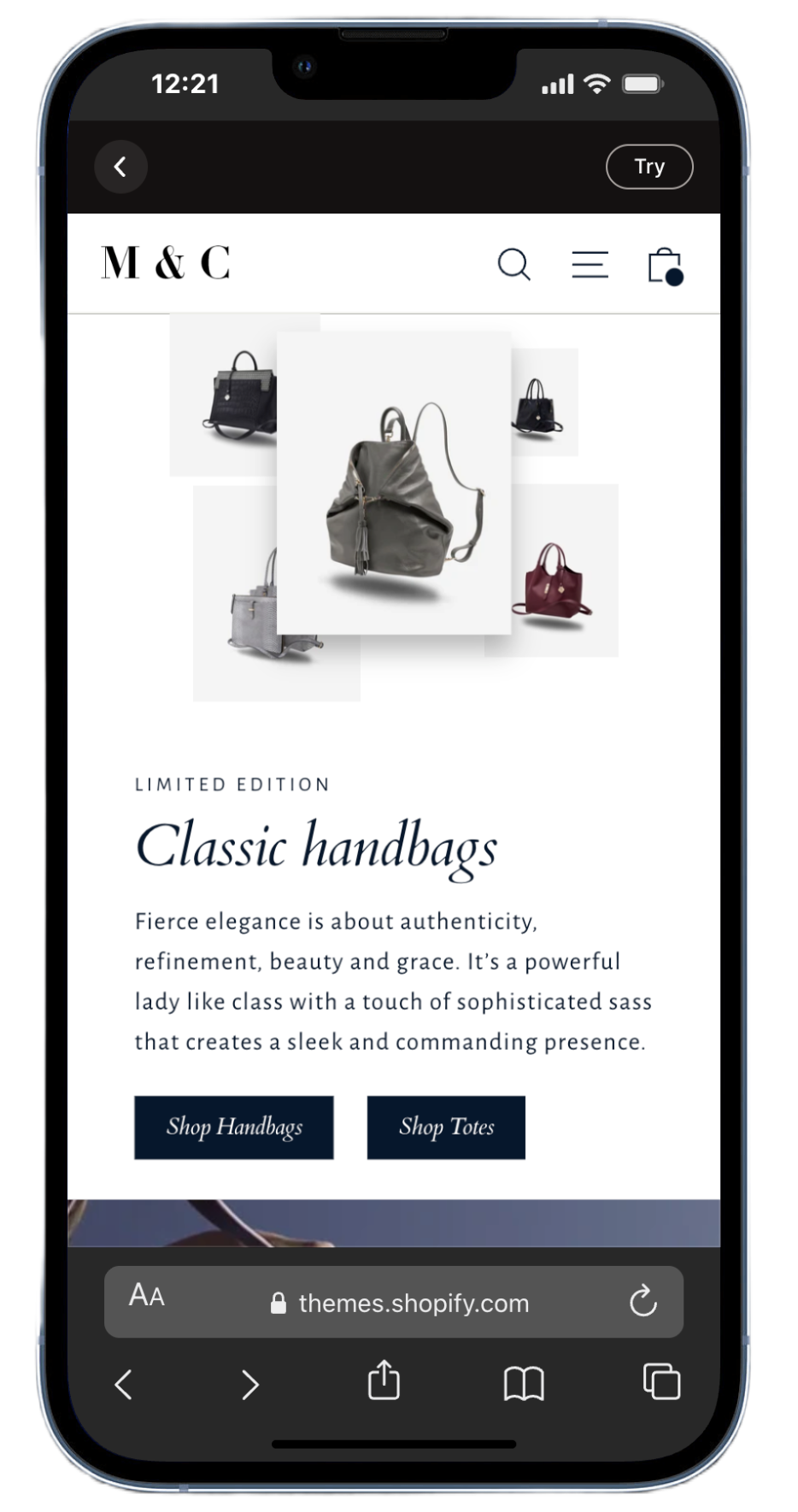 Motion Theme Satchel Preset - Elegant Luxury Fashion Layout