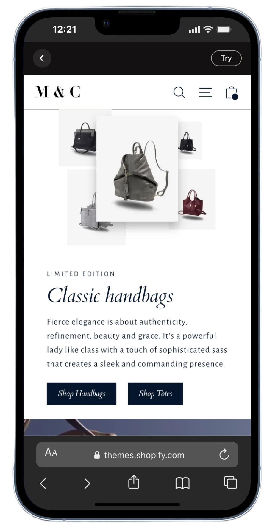 Motion Theme Satchel Preset - Elegant Luxury Fashion Layout