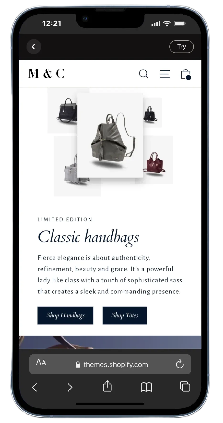 Motion Theme Satchel Preset - Elegant Luxury Fashion Layout