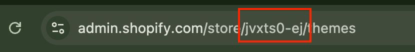 Shopify Admin URL Beispiel
