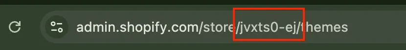 Shopify Admin URL Beispiel